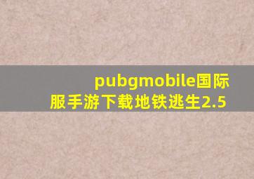 pubgmobile国际服手游下载地铁逃生2.5