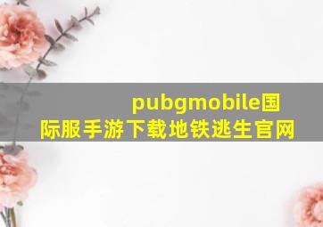 pubgmobile国际服手游下载地铁逃生官网