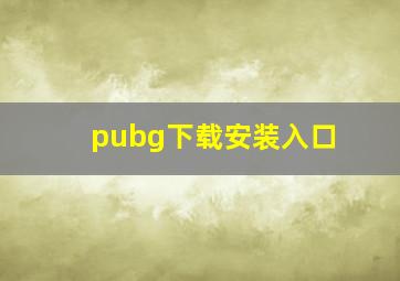 pubg下载安装入口