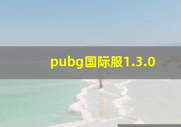 pubg国际服1.3.0