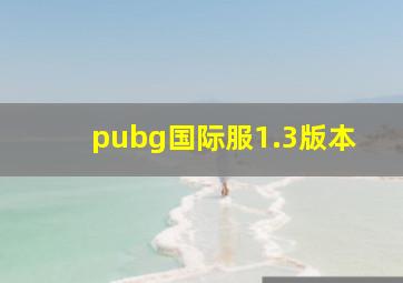 pubg国际服1.3版本