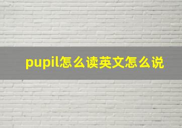 pupil怎么读英文怎么说