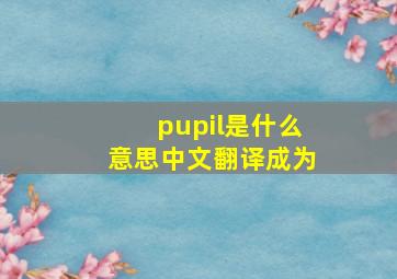 pupil是什么意思中文翻译成为