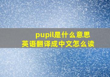 pupil是什么意思英语翻译成中文怎么读