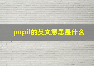 pupil的英文意思是什么