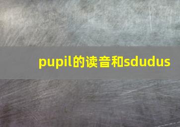 pupil的读音和sdudus