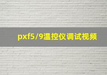 pxf5/9温控仪调试视频