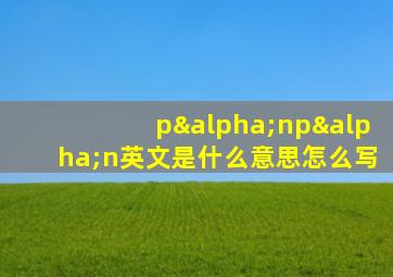 pαnpαn英文是什么意思怎么写