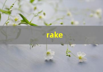 rake