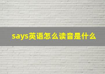 says英语怎么读音是什么