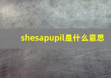 shesapupil是什么意思