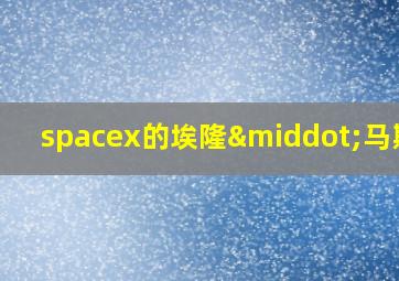 spacex的埃隆·马斯克