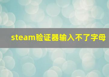 steam验证器输入不了字母