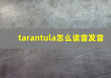 tarantula怎么读音发音