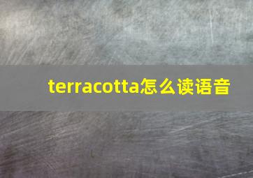 terracotta怎么读语音