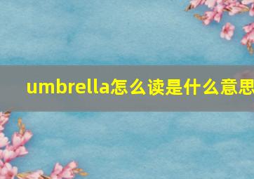 umbrella怎么读是什么意思