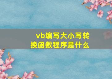 vb编写大小写转换函数程序是什么