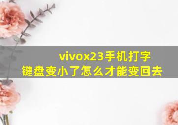 vivox23手机打字键盘变小了怎么才能变回去