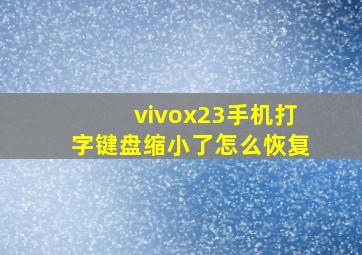 vivox23手机打字键盘缩小了怎么恢复