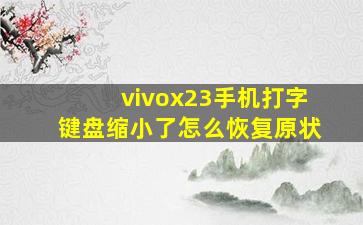 vivox23手机打字键盘缩小了怎么恢复原状