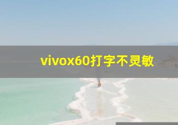 vivox60打字不灵敏