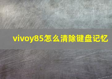 vivoy85怎么清除键盘记忆