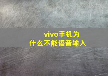 vivo手机为什么不能语音输入