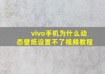 vivo手机为什么动态壁纸设置不了视频教程