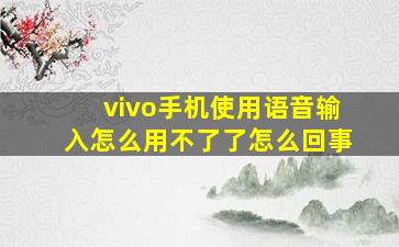 vivo手机使用语音输入怎么用不了了怎么回事