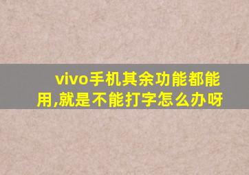 vivo手机其余功能都能用,就是不能打字怎么办呀