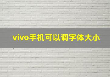 vivo手机可以调字体大小