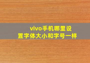 vivo手机哪里设置字体大小和字号一样