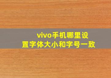 vivo手机哪里设置字体大小和字号一致