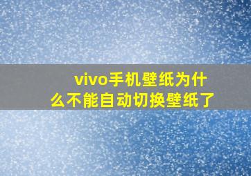 vivo手机壁纸为什么不能自动切换壁纸了