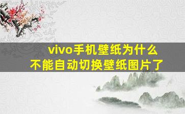 vivo手机壁纸为什么不能自动切换壁纸图片了