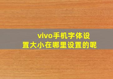 vivo手机字体设置大小在哪里设置的呢