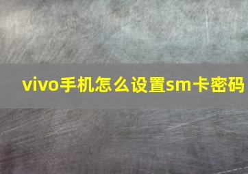 vivo手机怎么设置sm卡密码