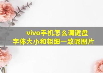 vivo手机怎么调键盘字体大小和粗细一致呢图片