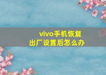 vivo手机恢复出厂设置后怎么办