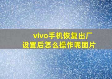 vivo手机恢复出厂设置后怎么操作呢图片