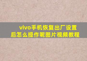 vivo手机恢复出厂设置后怎么操作呢图片视频教程