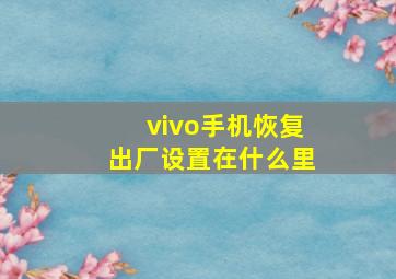 vivo手机恢复出厂设置在什么里