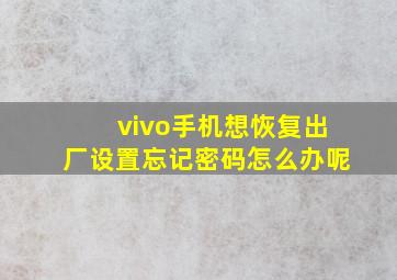 vivo手机想恢复出厂设置忘记密码怎么办呢