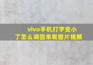 vivo手机打字变小了怎么调回来呢图片视频