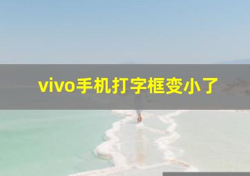 vivo手机打字框变小了