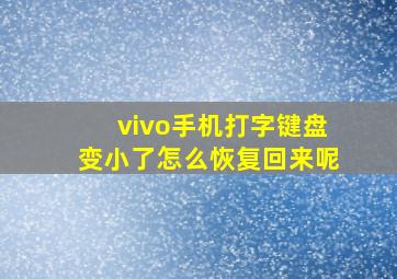 vivo手机打字键盘变小了怎么恢复回来呢