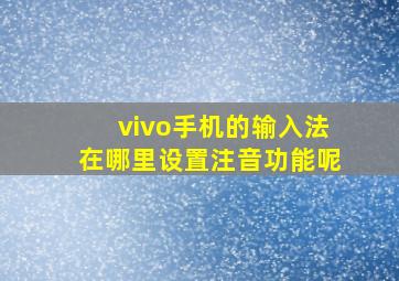 vivo手机的输入法在哪里设置注音功能呢