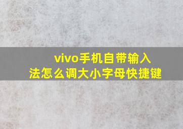 vivo手机自带输入法怎么调大小字母快捷键