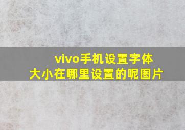 vivo手机设置字体大小在哪里设置的呢图片