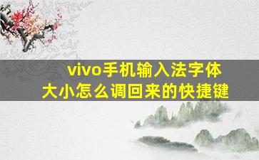 vivo手机输入法字体大小怎么调回来的快捷键